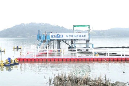 省领导深入滨湖调研水污染防治工作 科学施策，全域共建绿色生态屏障