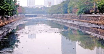 守护碧水清流，宝安在行动——水污染治理成效纪实
