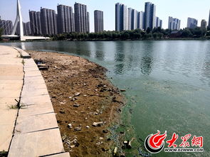 赵王河污染治理与水资源调配的双重挑战